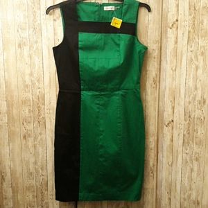 Calvin Klein Black/Green Dress